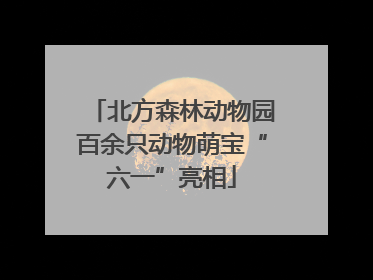 北方森林动物园百余只动物萌宝“六一”亮相