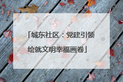 城东社区：党建引领绘就文明幸福画卷