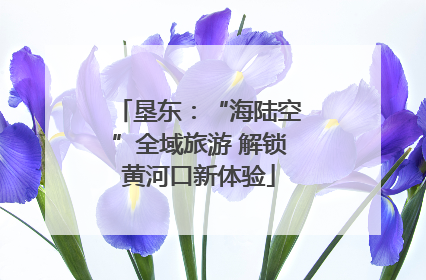 垦东：“海陆空”全域旅游 解锁黄河口新体验