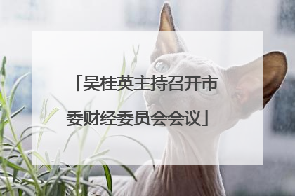 吴桂英主持召开市委财经委员会会议