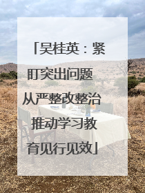 吴桂英：紧盯突出问题 从严整改整治 推动学习教育见行见效