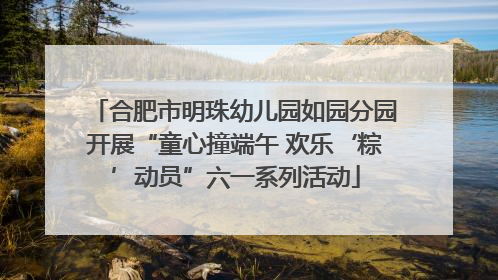 合肥市明珠幼儿园如园分园开展“童心撞端午 欢乐‘粽’动员”六一系列活动