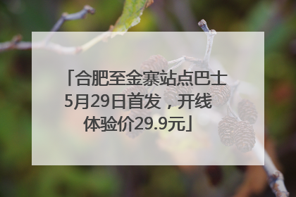 合肥至金寨站点巴士5月29日首发，开线体验价29.9元