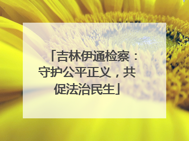 吉林伊通检察：守护公平正义，共促法治民生