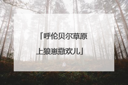 呼伦贝尔草原上狼崽撒欢儿