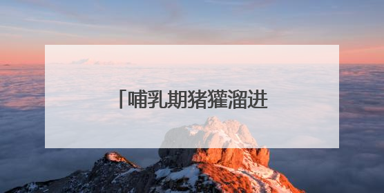 哺乳期猪獾溜进村民家觅食 村民救助后将其放生