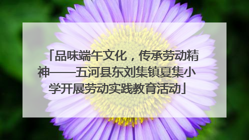 品味端午文化，传承劳动精神——五河县东刘集镇夏集小学开展劳动实践教育活动