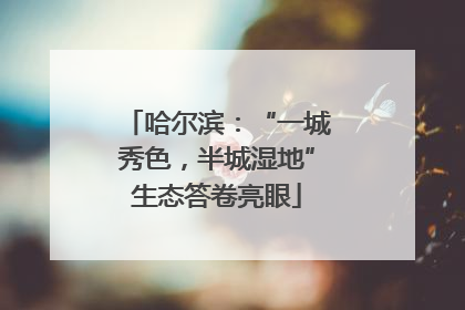 哈尔滨：“一城秀色，半城湿地”生态答卷亮眼