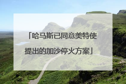 哈马斯已同意美特使提出的加沙停火方案