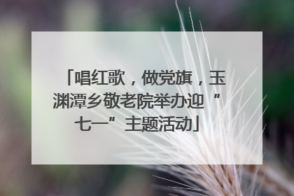 唱红歌，做党旗，玉渊潭乡敬老院举办迎“七一”主题活动
