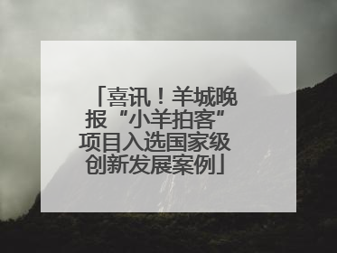 喜讯！羊城晚报“小羊拍客”项目入选国家级创新发展案例