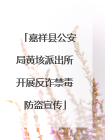 嘉祥县公安局黄垓派出所开展反诈禁毒防盗宣传