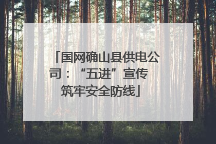 国网确山县供电公司：“五进”宣传 筑牢安全防线