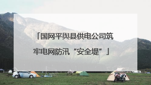 国网平舆县供电公司筑牢电网防汛“安全堤”