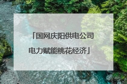国网庆阳供电公司电力赋能桃花经济