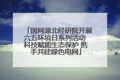 国网湖北经研院开展六五环境日系列活动 科技赋能生态保护 携手共建绿色电网