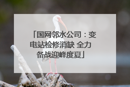 国网邻水公司：变电站检修消缺 全力备战迎峰度夏