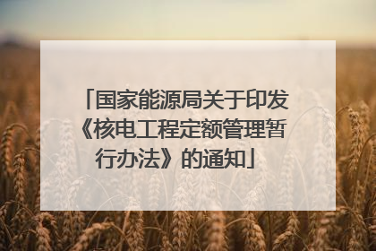 国家能源局关于印发《核电工程定额管理暂行办法》的通知
