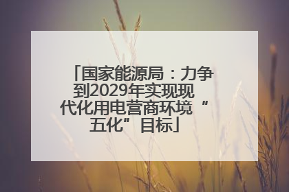 国家能源局：力争到2029年实现现代化用电营商环境“五化”目标