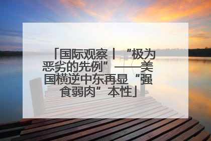 国际观察丨“极为恶劣的先例”——美国横逆中东再显“强食弱肉”本性