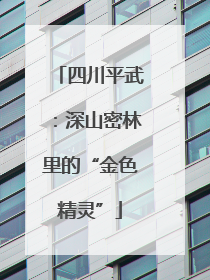 四川平武：深山密林里的“金色精灵”