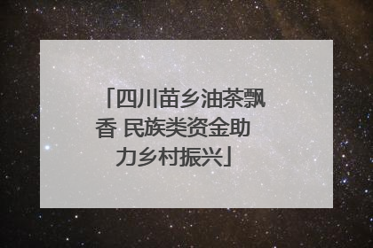 四川苗乡油茶飘香 民族类资金助力乡村振兴