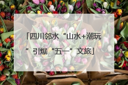 四川邻水“山水+潮玩”引爆“五一”文旅