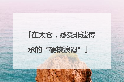 在太仓，感受非遗传承的“硬核浪漫”