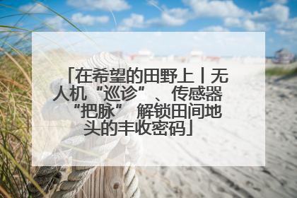 在希望的田野上丨无人机“巡诊”、传感器“把脉” 解锁田间地头的丰收密码