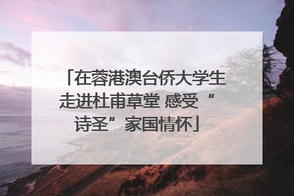 在蓉港澳台侨大学生走进杜甫草堂 感受“诗圣”家国情怀