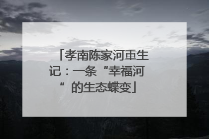 孝南陈家河重生记：一条“幸福河”的生态蝶变
