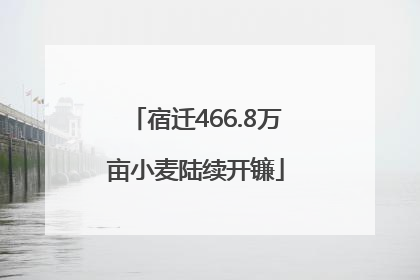 宿迁466.8万亩小麦陆续开镰