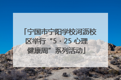 宁国市宁阳学校河沥校区举行“5・25 心理健康周”系列活动