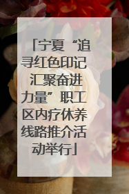 宁夏“追寻红色印记 汇聚奋进力量”职工区内疗休养线路推介活动举行