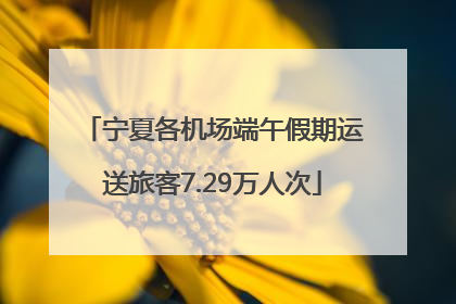 宁夏各机场端午假期运送旅客7.29万人次