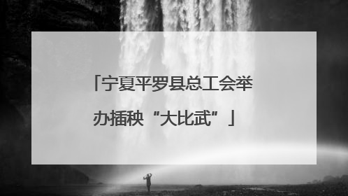 宁夏平罗县总工会举办插秧“大比武”