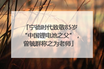 宁德时代致敬85岁“中国锂电池之父”，曾毓群称之为老师