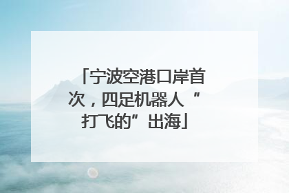 宁波空港口岸首次，四足机器人“打飞的”出海