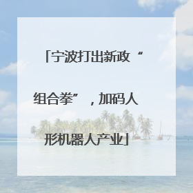 宁波打出新政“组合拳”，加码人形机器人产业