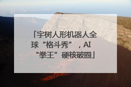 宇树人形机器人全球“格斗秀”，AI“拳王”硬核破圈