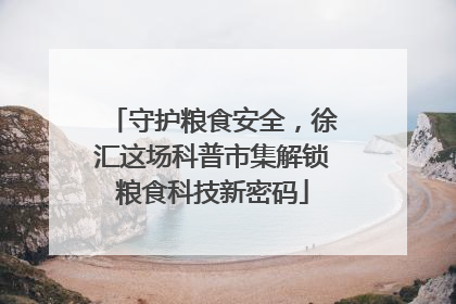 守护粮食安全，徐汇这场科普市集解锁粮食科技新密码