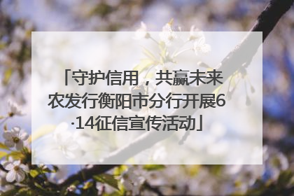守护信用，共赢未来 农发行衡阳市分行开展6·14征信宣传活动