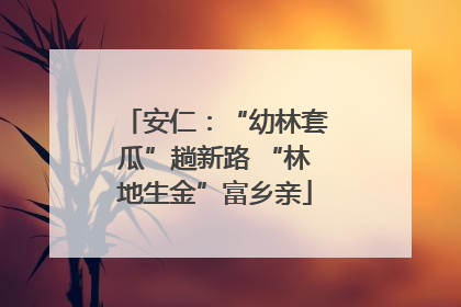 安仁：“幼林套瓜”趟新路 “林地生金”富乡亲