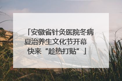 安徽省针灸医院冬病夏治养生文化节开幕 快来“趁热打贴”