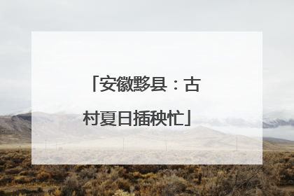 安徽黟县：古村夏日插秧忙