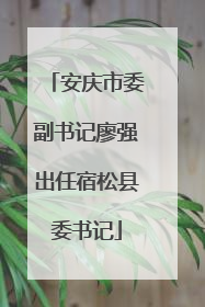 安庆市委副书记廖强出任宿松县委书记