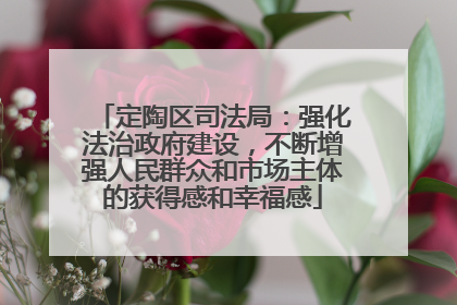 定陶区司法局：强化法治政府建设，不断增强人民群众和市场主体的获得感和幸福感