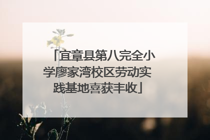 宜章县第八完全小学廖家湾校区劳动实践基地喜获丰收