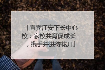 宜宾江安下长中心校：家校共育促成长，携手并进待花开