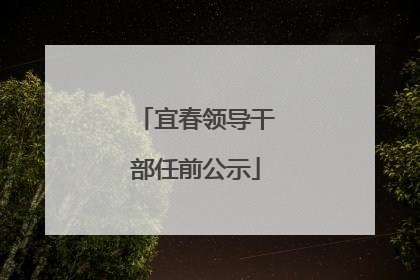宜春领导干部任前公示